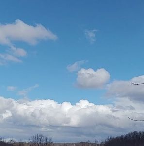 Meet your Posher, Roberta